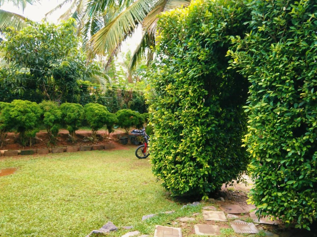 Green Bird Mirissa Exterior photo