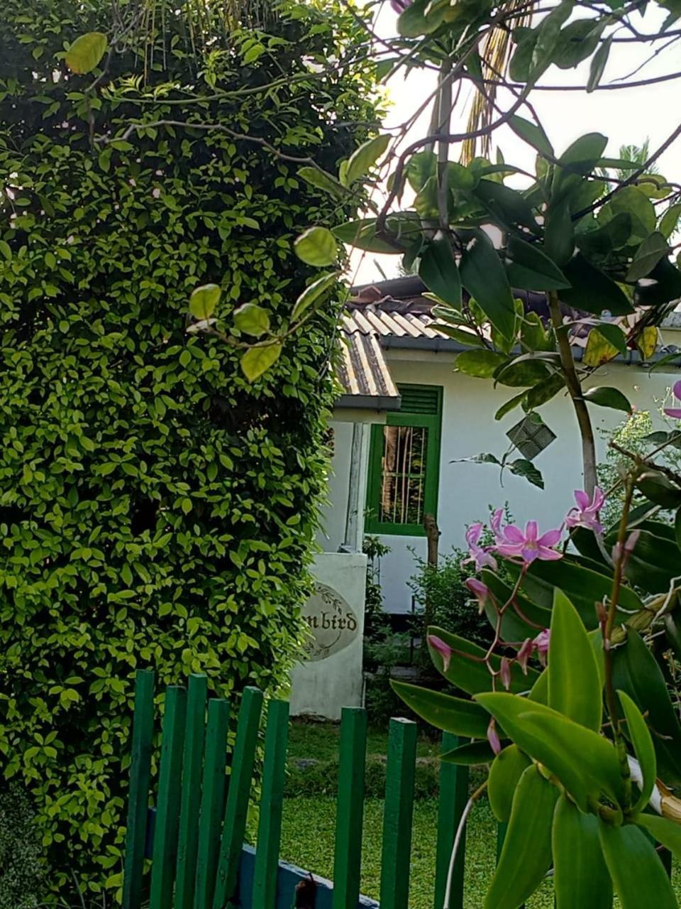 Green Bird Mirissa Exterior photo