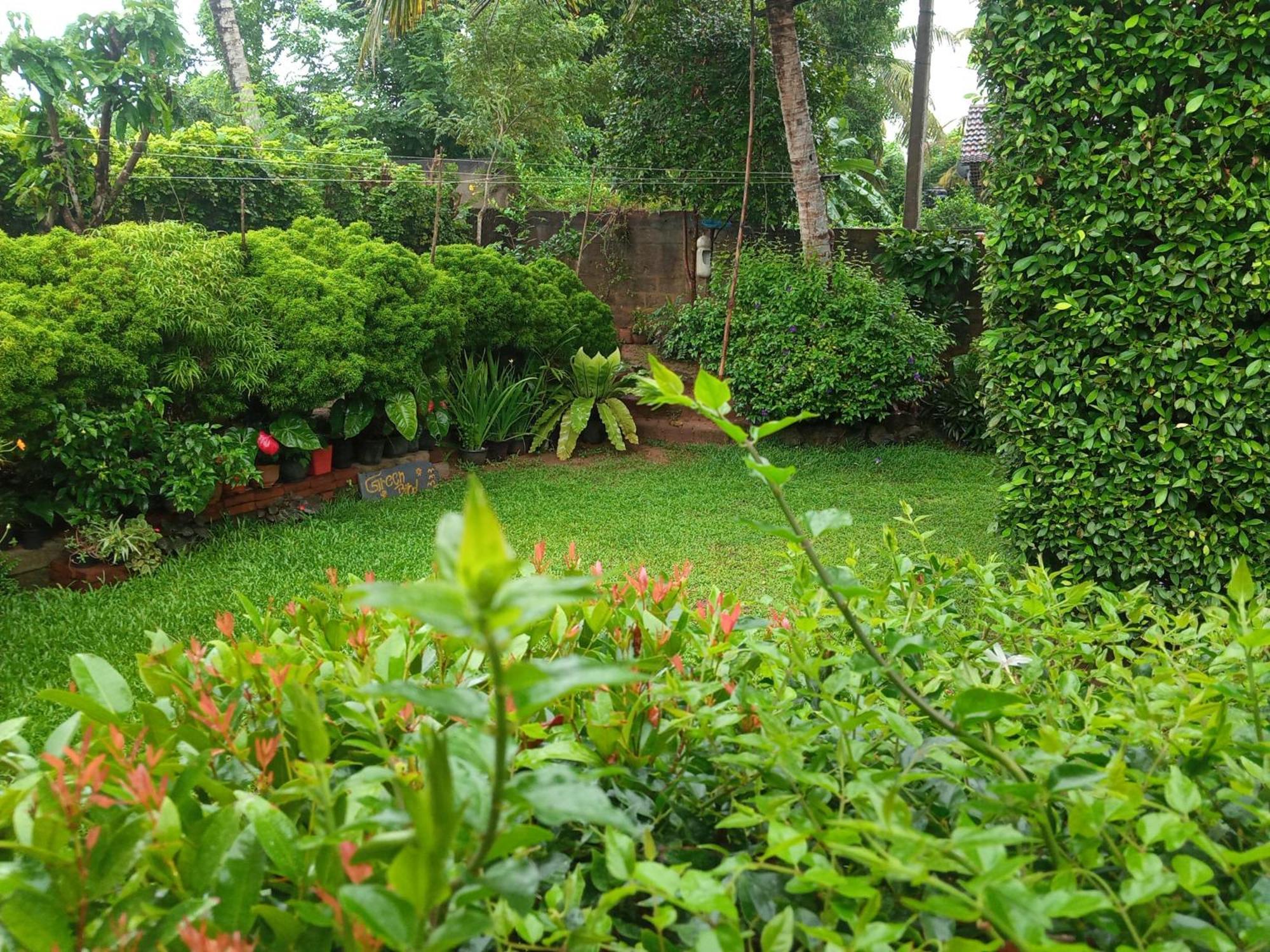 Green Bird Mirissa Exterior photo