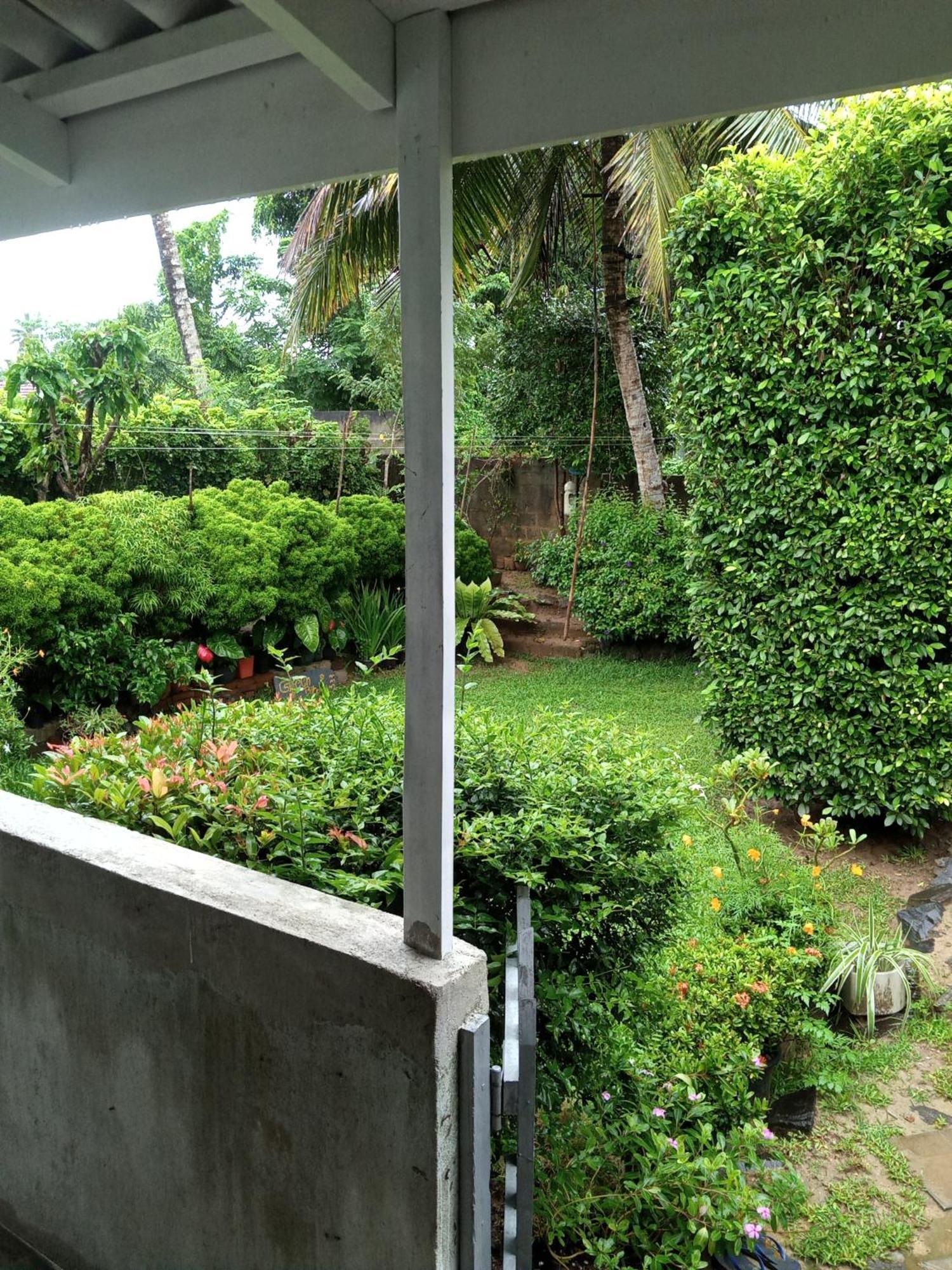 Green Bird Mirissa Exterior photo